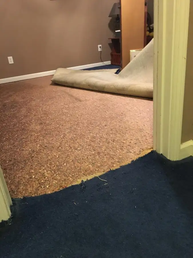 Carpet pad removal revealing water damage during Water Mitigation Services in Wellington