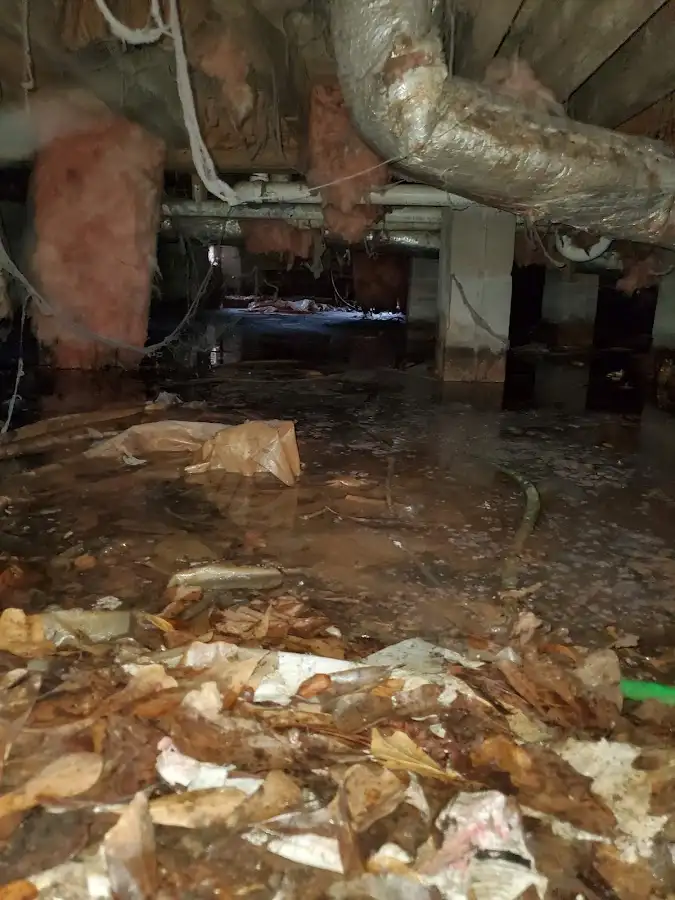 Crawl space flood assessment for Leak Detection & Repair in Wellington