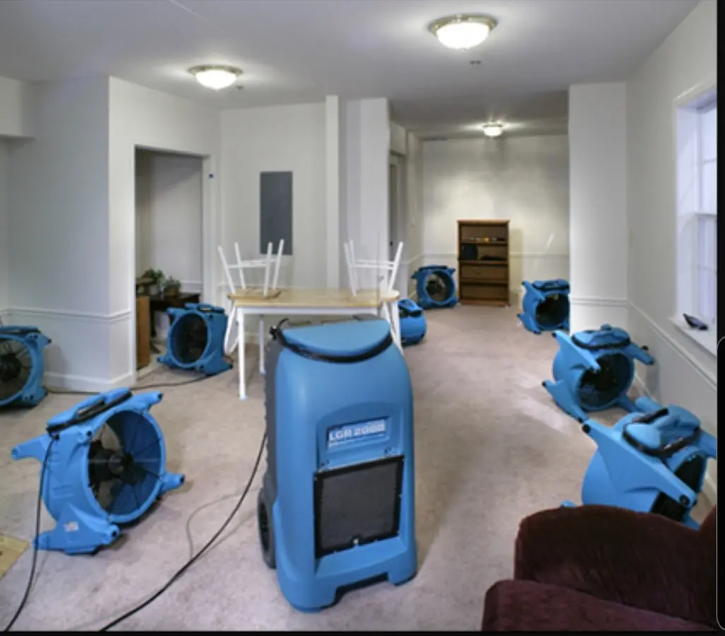 Air movers and dehumidifier setup for Water Extraction & Removal in Wellington